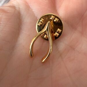 Gold Tone Wishbone Pin